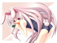 BUY NEW touhou - 116864 Premium Anime Print Poster